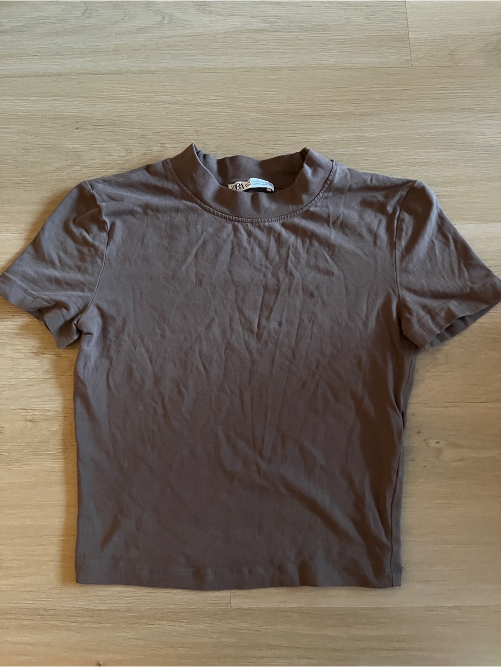 Zara Brown Short-Sleeve Crewneck Tee